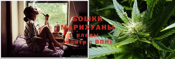 дживик Нефтегорск