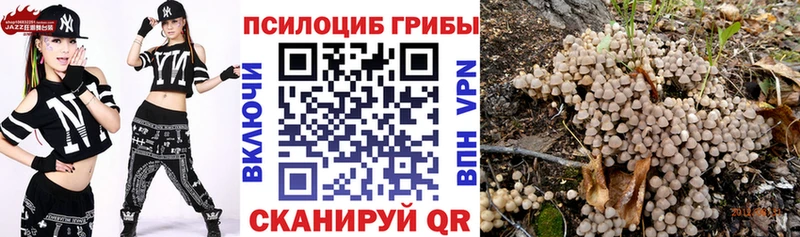 Псилоцибиновые грибы ЛСД Сарапул